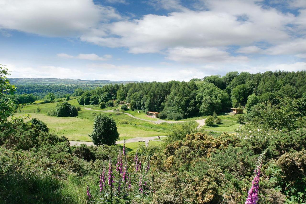 Yorkshire Dales Lodge 4 Family 3 Bed Richmond  Exteriér fotografie